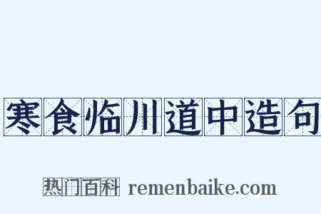 寒食临川道中造句是什么意思的图片